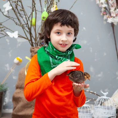 اللعبة مع إضافاتنا الجديدة!